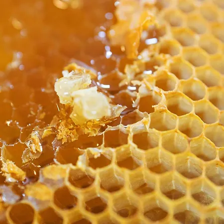 Novotel Potsdamer Platz 3*