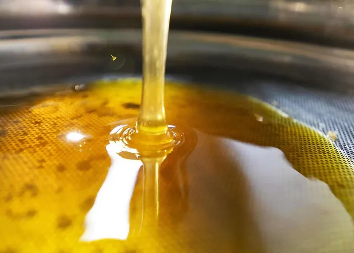 Novotel Potsdamer Platz