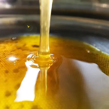 Novotel Potsdamer Platz