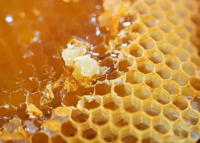 نوفوتيل سويتس سيتي بوتسدامير بلاتز 3*